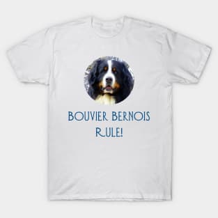 Bouvier Bernois Rule! T-Shirt